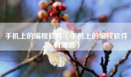 手机上的编程软件（手机上的编程软件有哪些）