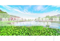适合个人的博客推荐软件有哪些，目前写博客比较好用的网站推荐