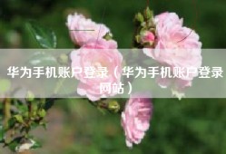 华为手机账户登录（华为手机账户登录网站）