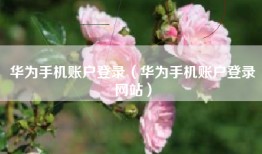 华为手机账户登录（华为手机账户登录网站）