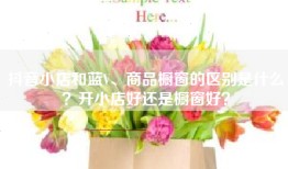 抖音小店和蓝V、商品橱窗的区别是什么？开小店好还是橱窗好？
