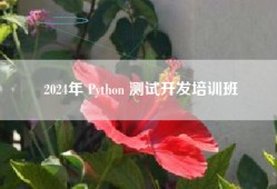 2024年 Python 测试开发培训班
