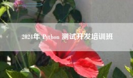 2024年 Python 测试开发培训班