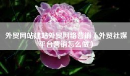 外贸网站建站外贸网络营销（外贸社媒平台营销怎么做）