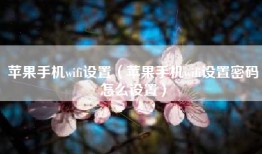 苹果手机wifi设置（苹果手机wifi设置密码怎么设置）
