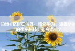 负债47亿逃亡海外，碰瓷华为、炮轰小米的柔宇科技，如今怎样？