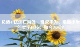 负债47亿逃亡海外，碰瓷华为、炮轰小米的柔宇科技，如今怎样？