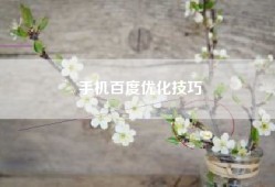 手机百度优化技巧