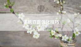 手机百度优化技巧