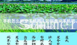手机怎么绑定手机号（如何查询手机号绑定了哪些app）