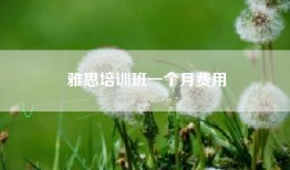 雅思培训班一个月费用