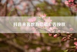 抖音来客教育培训广告投放