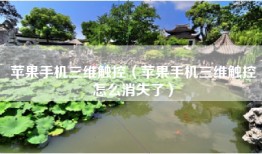 苹果手机三维触控（苹果手机三维触控怎么消失了）
