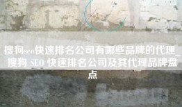 搜狗seo快速排名公司有哪些品牌的代理_搜狗 SEO 快速排名公司及其代理品牌盘点