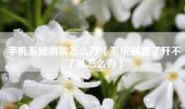 手机系统崩溃怎么办（系统崩溃了开不了机怎么办）