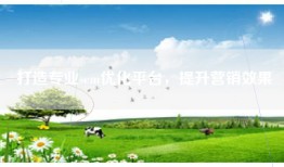 打造专业sem优化平台，提升营销效果