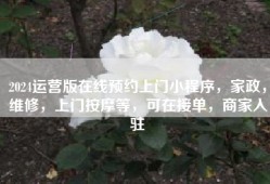 2024运营版在线预约上门小程序，家政，维修，上门按摩等，可在接单，商家入驻