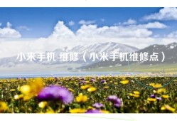 小米手机 维修（小米手机维修点）
