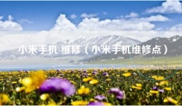 小米手机 维修（小米手机维修点）