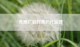 先推广后付费的代运营