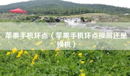 苹果手机坏点（苹果手机坏点换屏还是换机）