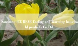 Nanchang ICE BEAR Cooling and Warming household products Co.,Ltd.