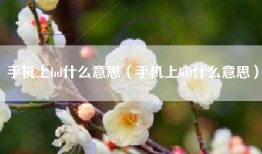 手机上hd什么意思（手机上hD什么意思）