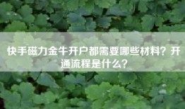 快手磁力金牛开户都需要哪些材料？开通流程是什么？