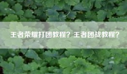王者荣耀打团教程？王者团战教程？