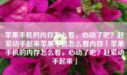 苹果手机的内存怎么看，心动了吧？赶紧动手起来苹果手机怎么看内存「苹果手机的内存怎么看，心动了吧？赶紧动手起来」