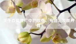 关于百度推广中的收费、充值、发票开具
