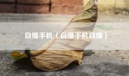 自爆手机（自爆手机自爆）