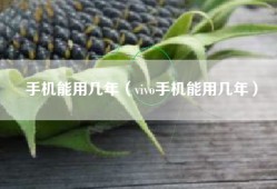 手机能用几年（vivo手机能用几年）