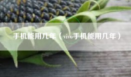 手机能用几年（vivo手机能用几年）