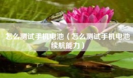 怎么测试手机电池（怎么测试手机电池续航能力）