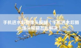 手机进水后摄像头模糊（手机进水后摄像头模糊怎么解决）