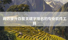 高效提升百度关键字排名的专业软件工具