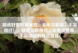精选好看短剧推荐，全集完整版，不容错过！，精选短剧推荐，全集完整版，不容错过的视觉盛宴！