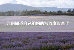 如何知道自己的网站被百度收录了
