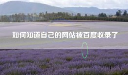 如何知道自己的网站被百度收录了