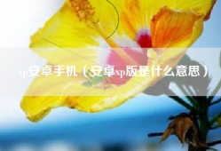 xp安卓手机（安卓xp版是什么意思）