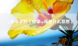 xp安卓手机（安卓xp版是什么意思）