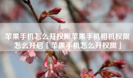 苹果手机怎么开权限苹果手机相机权限怎么开启「苹果手机怎么开权限」