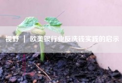 视野 ｜ 欧美银行业反洗钱实践的启示