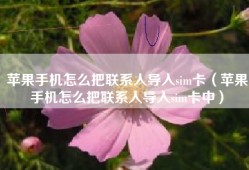 苹果手机怎么把联系人导入sim卡（苹果手机怎么把联系人导入sim卡中）