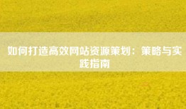 如何打造高效网站资源策划：策略与实践指南