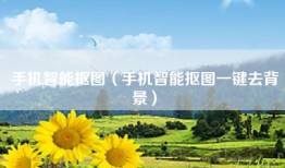 手机智能抠图（手机智能抠图一键去背景）
