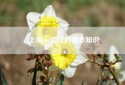 上海seo优化的基本知识