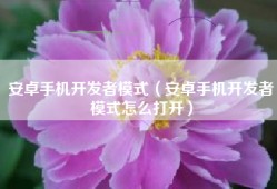 安卓手机开发者模式（安卓手机开发者模式怎么打开）