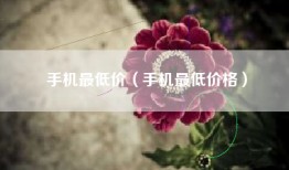 手机最低价（手机最低价格）